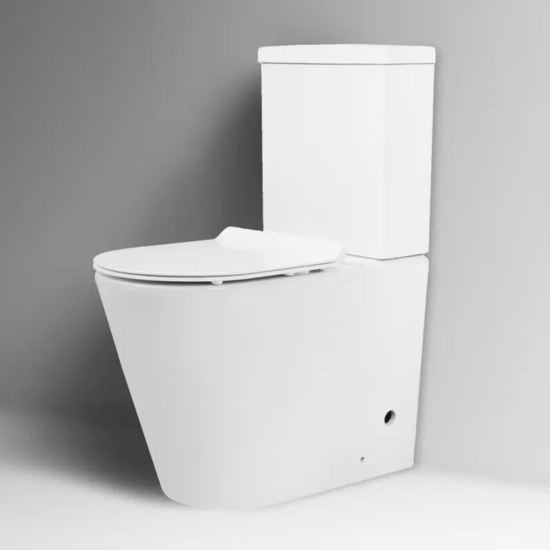 Home Bathroom With Two Toilets - Modern High-Quality Ceramic Stand Floor WC