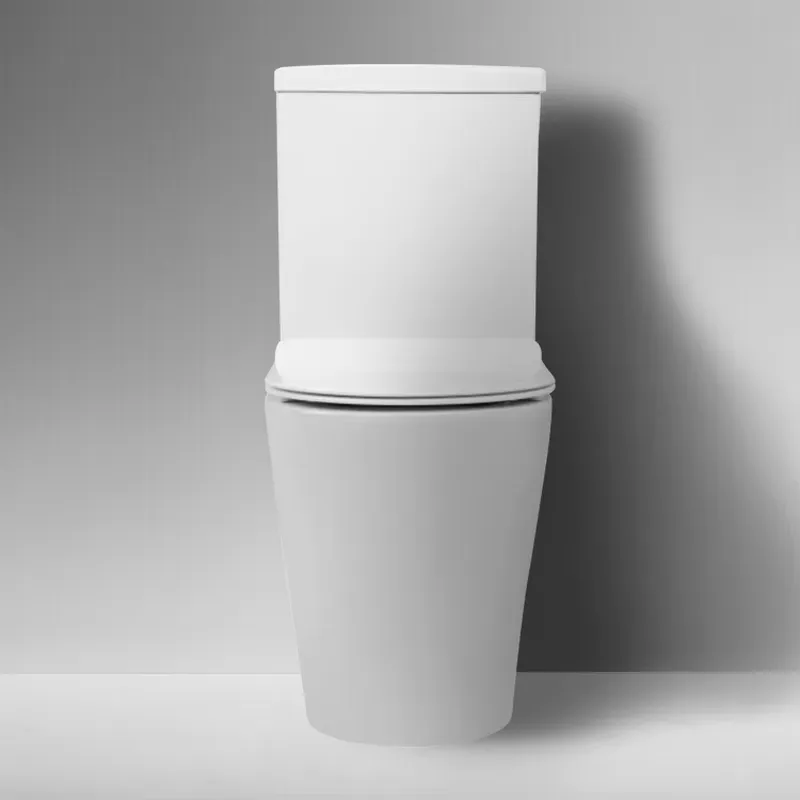 Modern High-Quality Ceramic St - Home Bathroom With Two Toilets ulasan dan harga