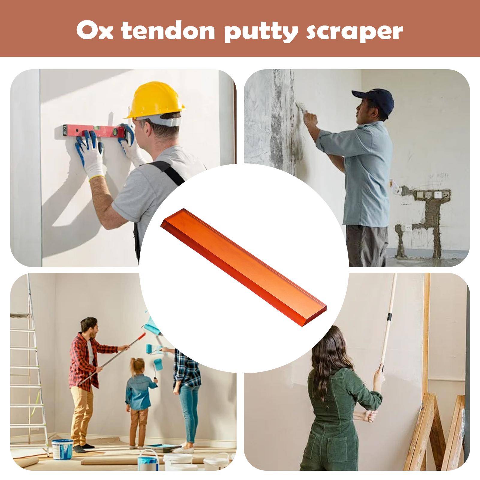 Drywall Spatula Mud Finishing  - Home Bathroom Repair ulasan dan harga